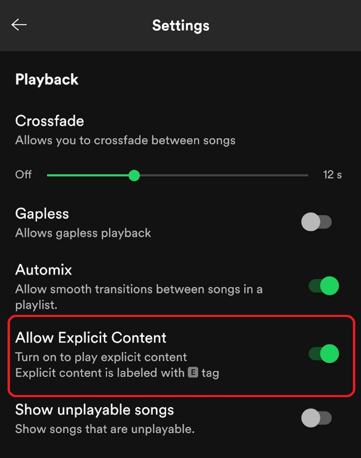 What Does the E Mean in Spotify?