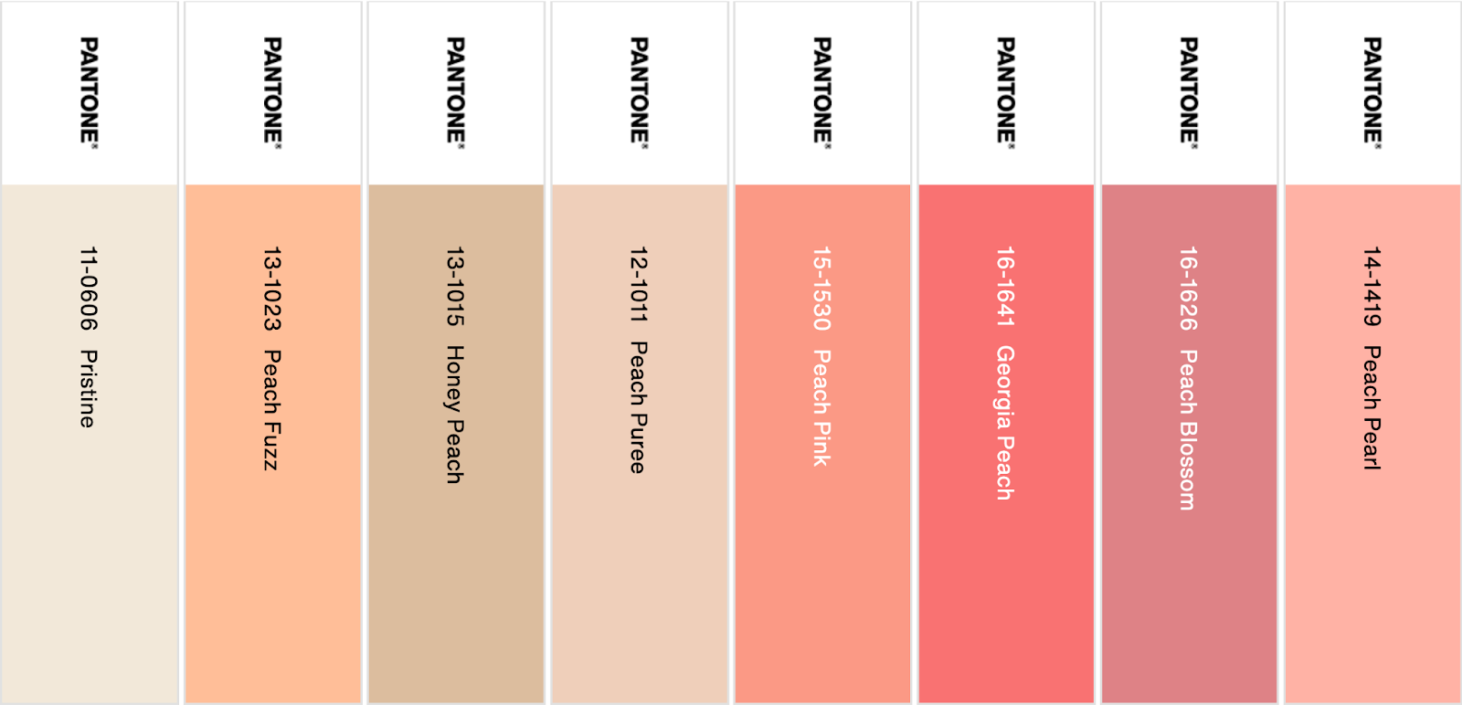 Pantone's Color of the Year 2024 Peach Plethora