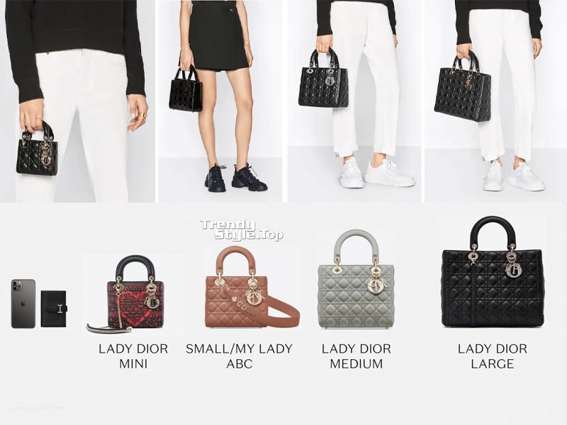 Review Túi xách Dior chính hãng - Dior lady