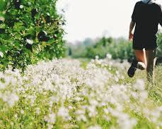 person walking through a field of flowers, looking confident