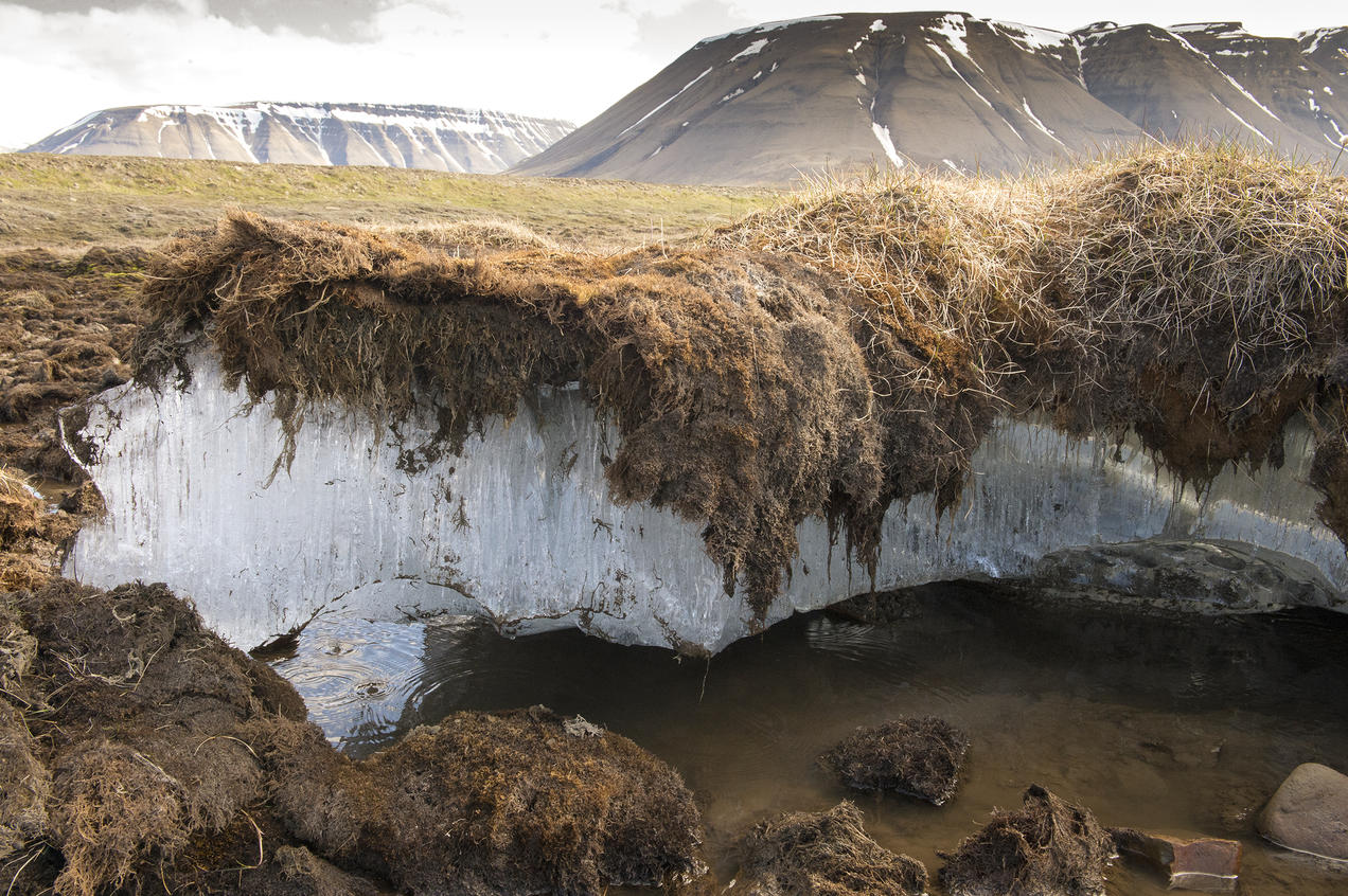 Permafrost: Everything You Need to Know | NRDC