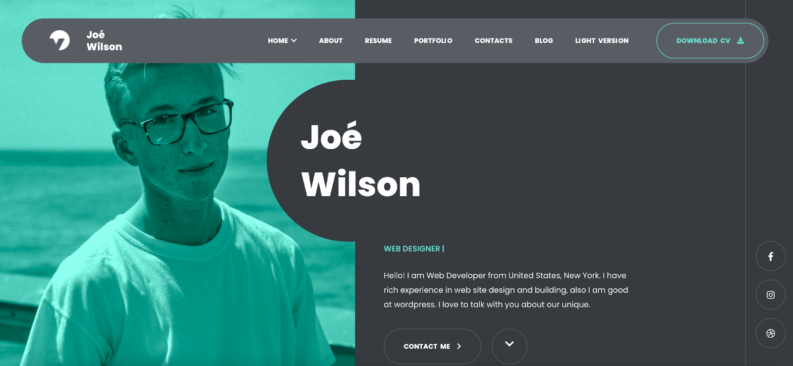 resume wordpress theme, Myour