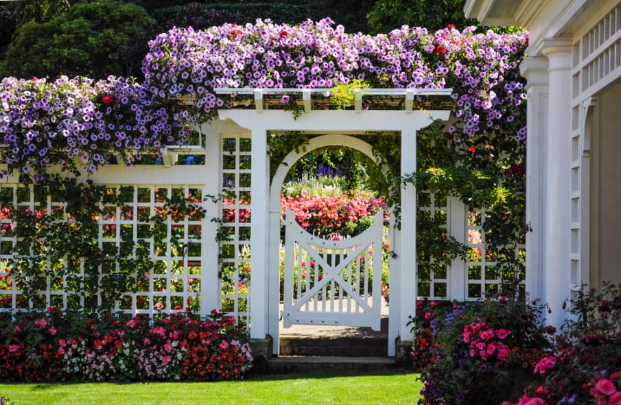 Gated Arbor