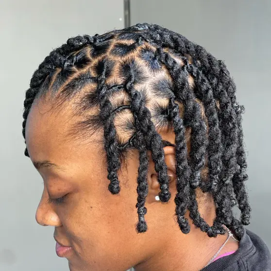 Picture showing a lady rocking twists and locs style.