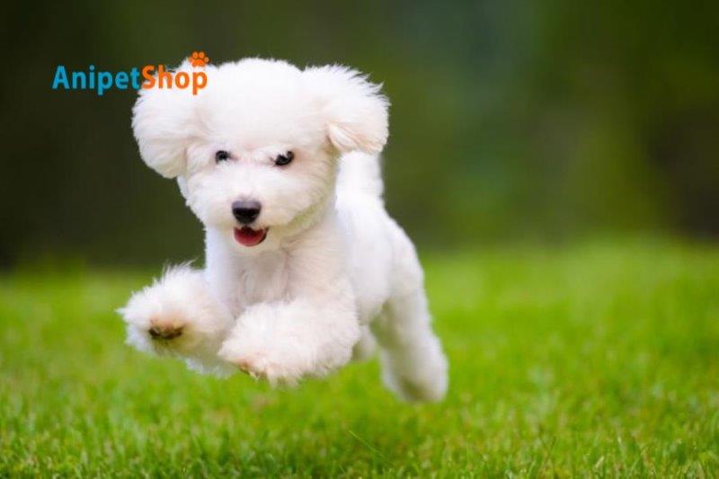 YgP5eskvbi8zaiAl_l1VIAudvlKyD1R0WbNe_poWYHlDn1Rjtsos7avuIJfF9HE5aXeyoERJJf_ENA4caBp0wa6PVeN7bKjnLZKVu1shE0wFXFtOwCw-12HCh-VF_1PGQE4JEPaC_f6oOXcr05rG4wE