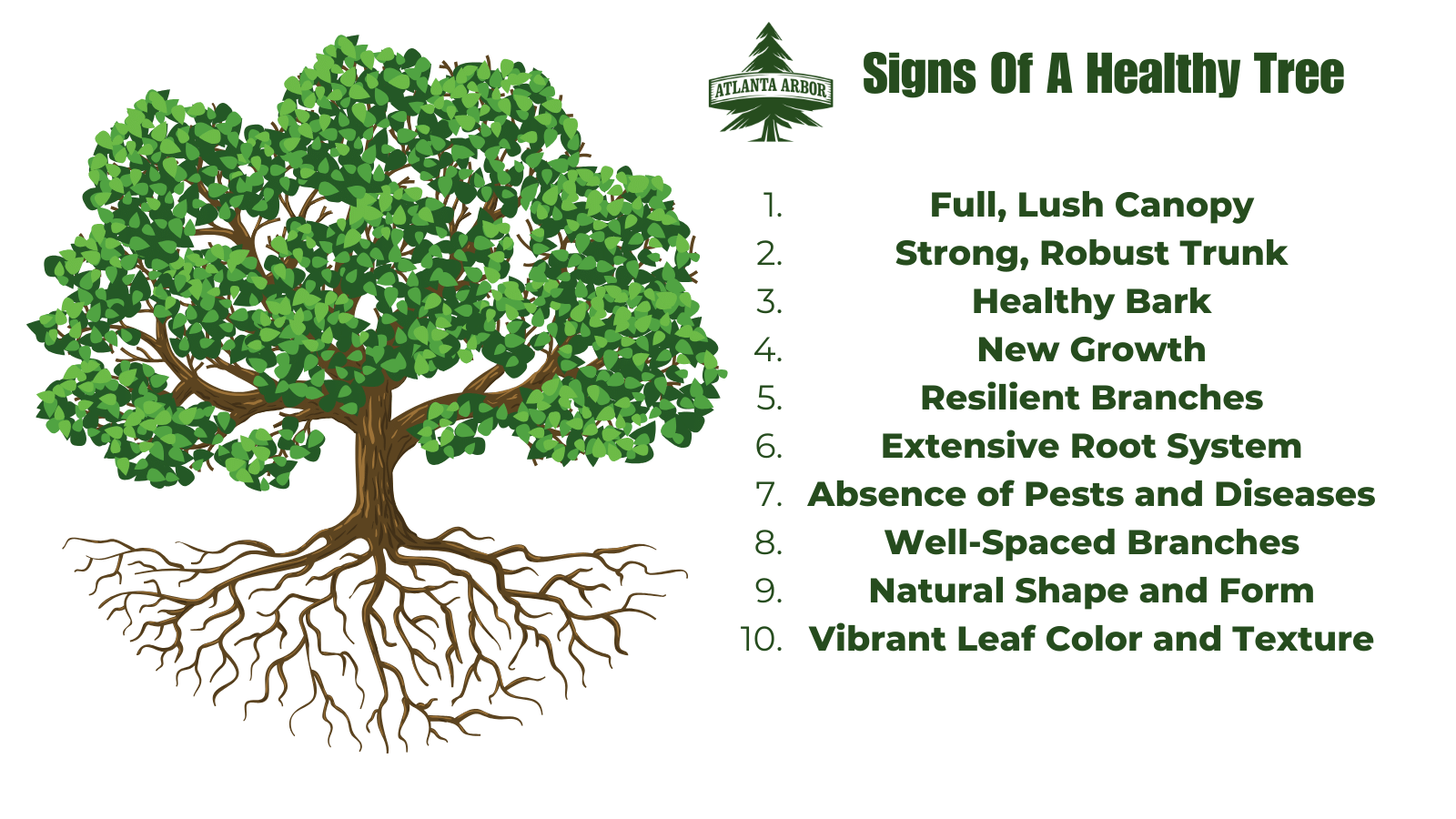 Signs Of A Healthy Tree (bullet point list)