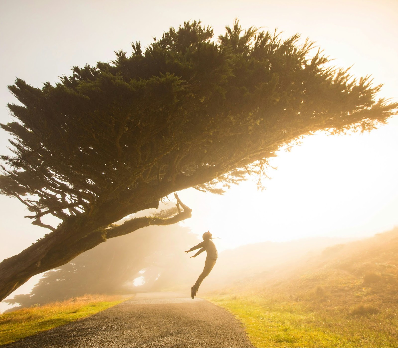 Image of figure leaping in nature.