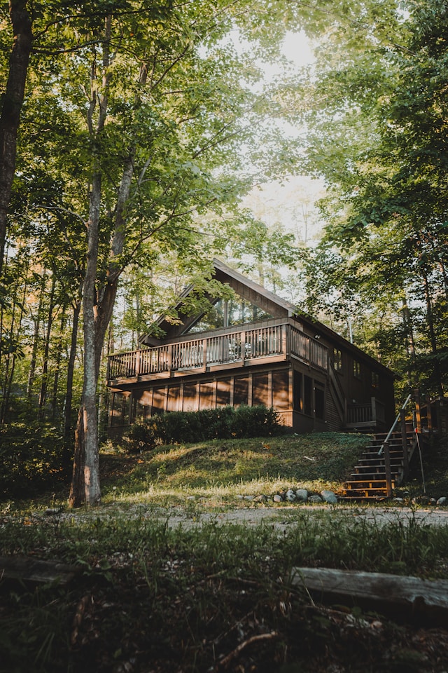 A wooden house on a small slope surrounded by trees