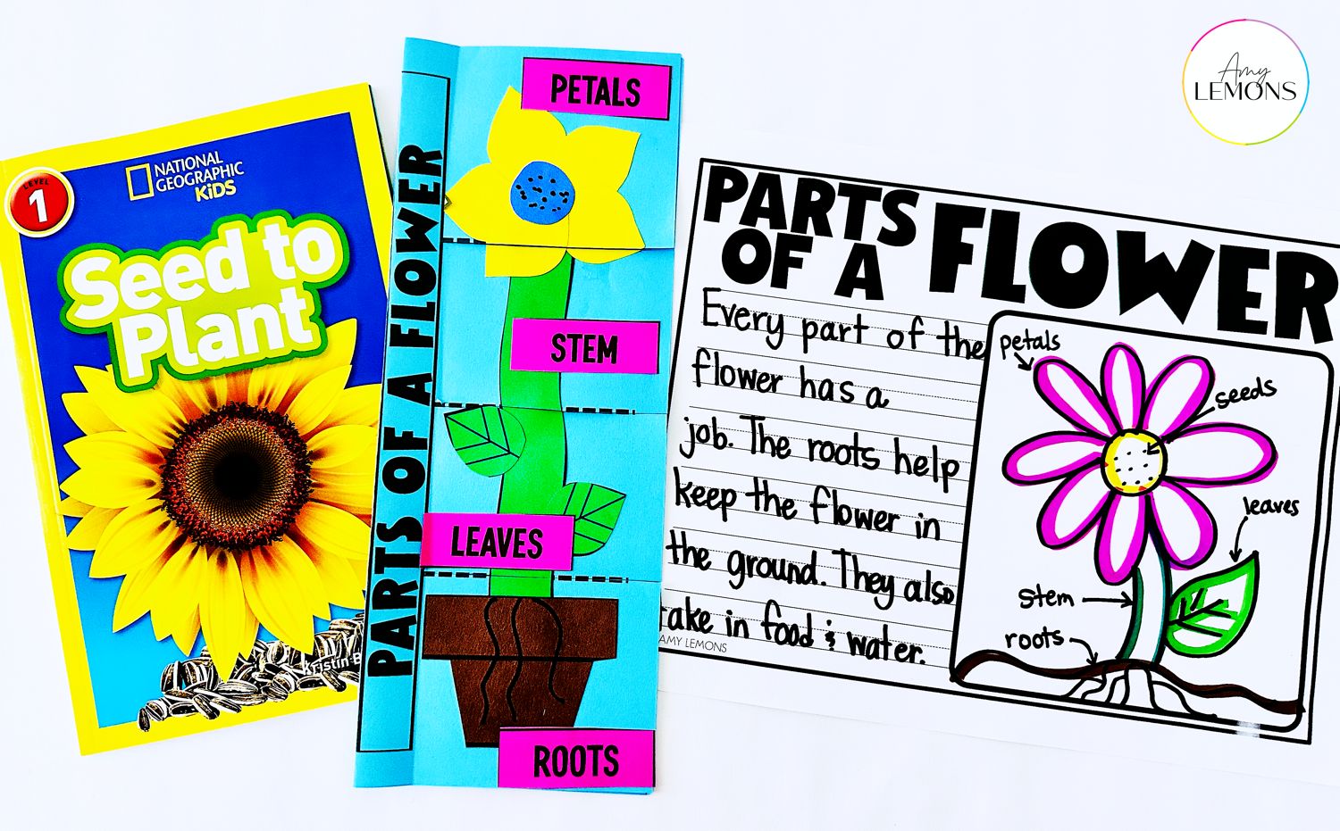 Parts of a flower craft and writing page