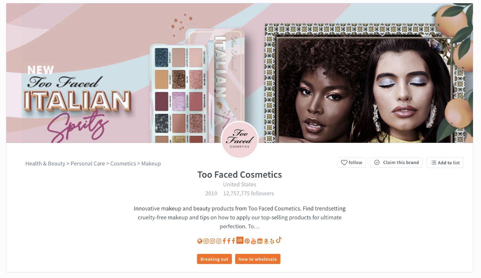 Viddy Blog  Subtl Beauty increased their conversion rate by 10