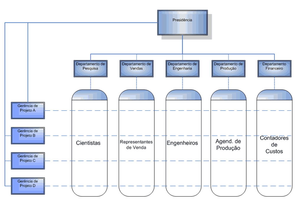 Planejamento e Arquitetura Organizacional em Modelo Matricial