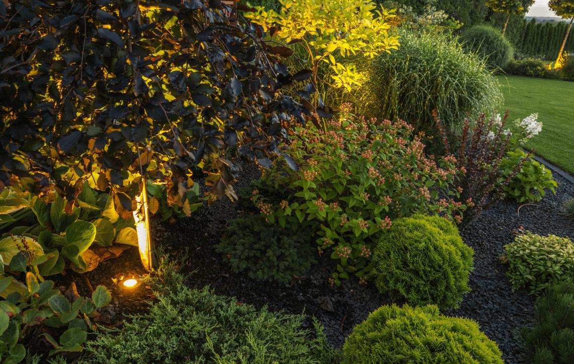 Garden Lighting