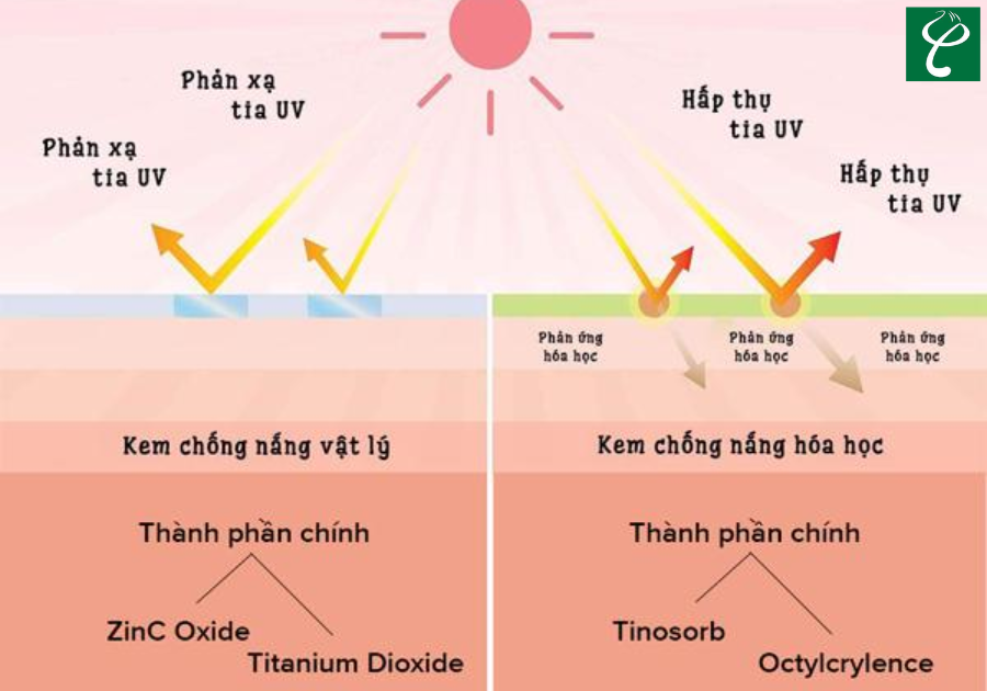 Các thành phần trong kem chống nắng nâng tone giúp bảo vệ da