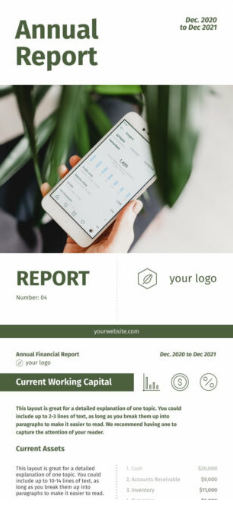 A screenshot of an annual sales report template.