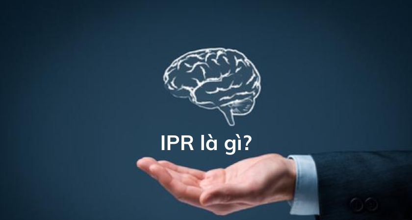 IPR là gì?