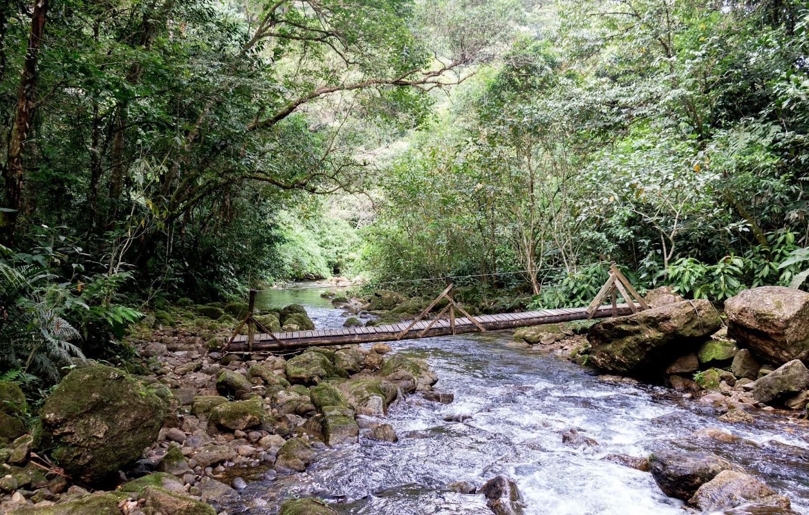 Pequena ponte de madeira sobre um riacho na trilha que leva até a Cachoeira da Serpente. Ao redor do estreito curso d’água, aparece a vegetação verde e densa da mata.