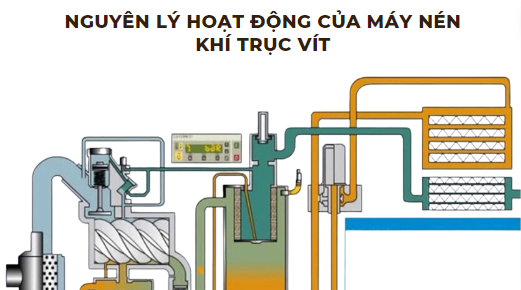 Nguyên lý hoạt động của máy nén khí trục vít