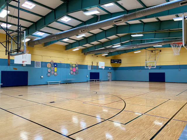 Exploring Pickleball in Raleigh, North Carolina