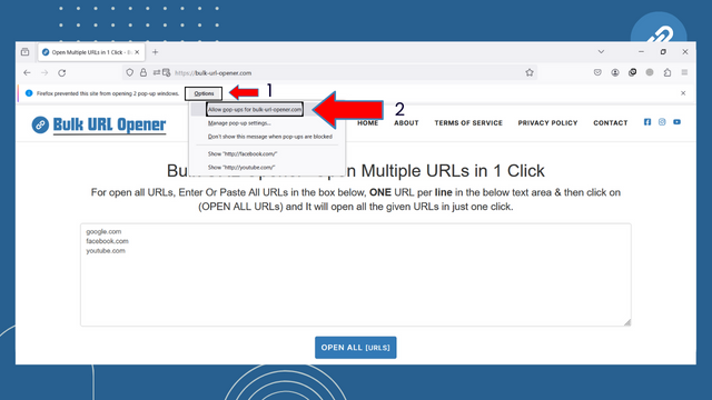 Bulk-URL-Opener.com