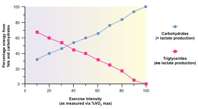 lactic acid graph