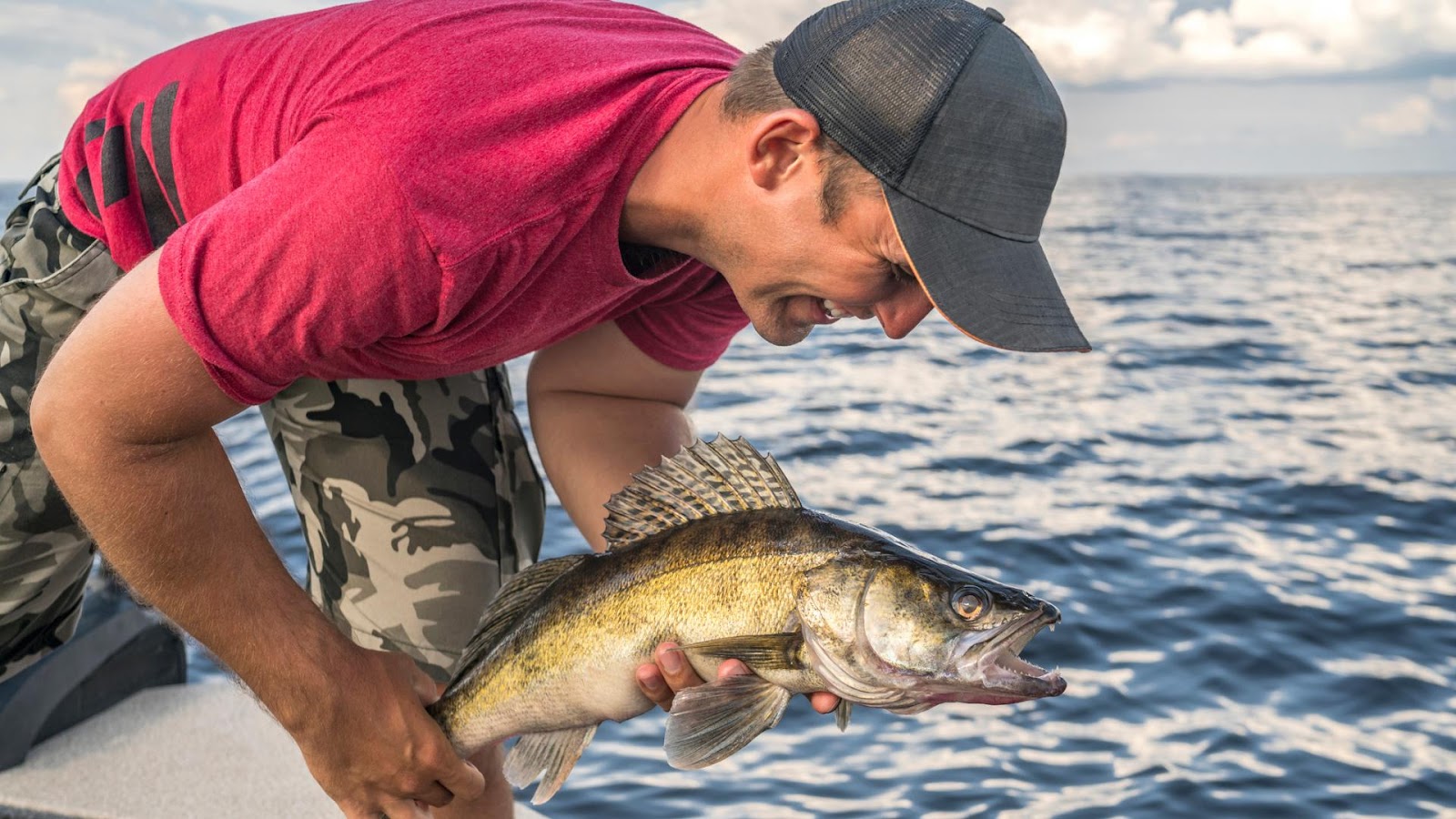 Regulations and Ethics when keep or release walleye fish