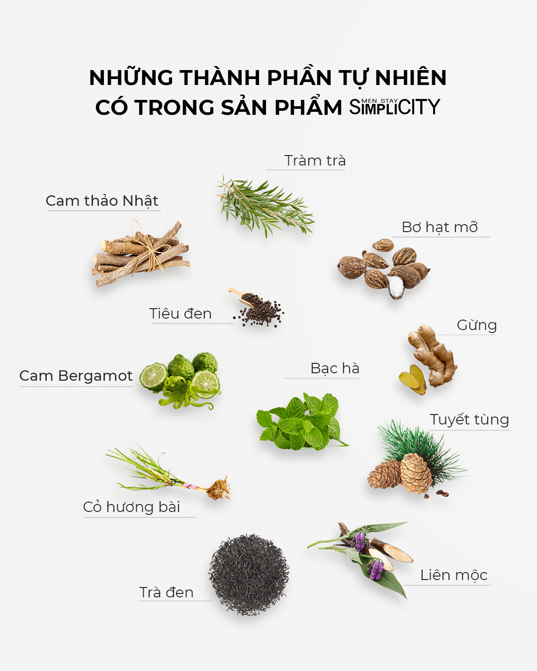 Quan tâm đến thành phần sản phẩm