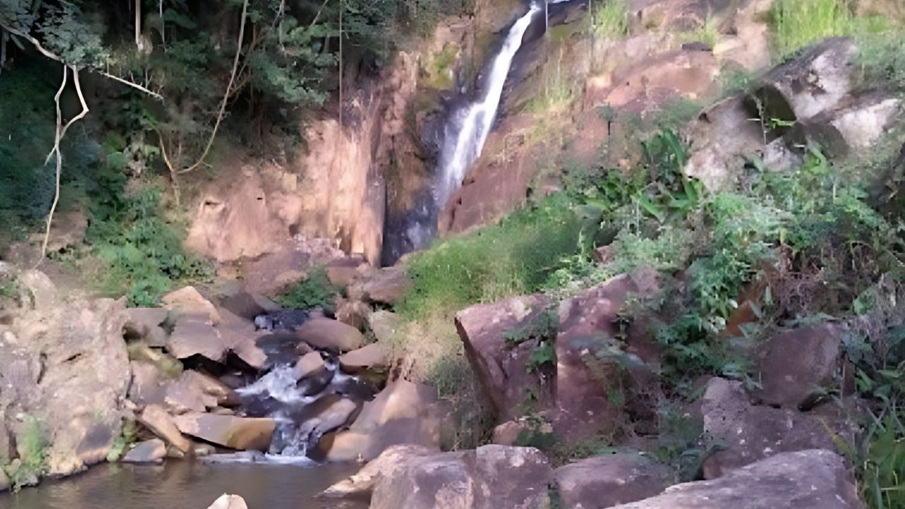 Foto divulgação: Passeios em Socorro SP