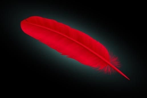 Red Feather Meaning and Symbolism - Color Meanings