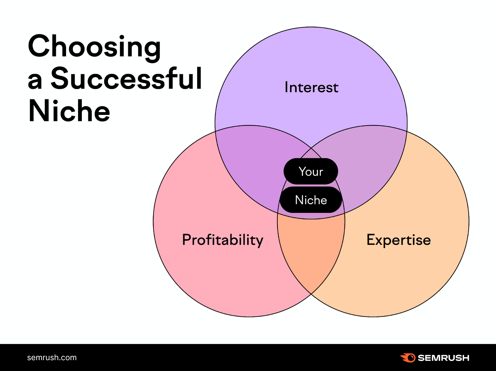 shows a diagram of choosing a successful niche 