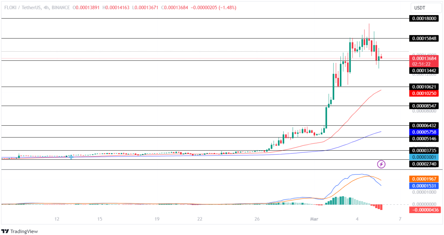 Floki Price Analysis