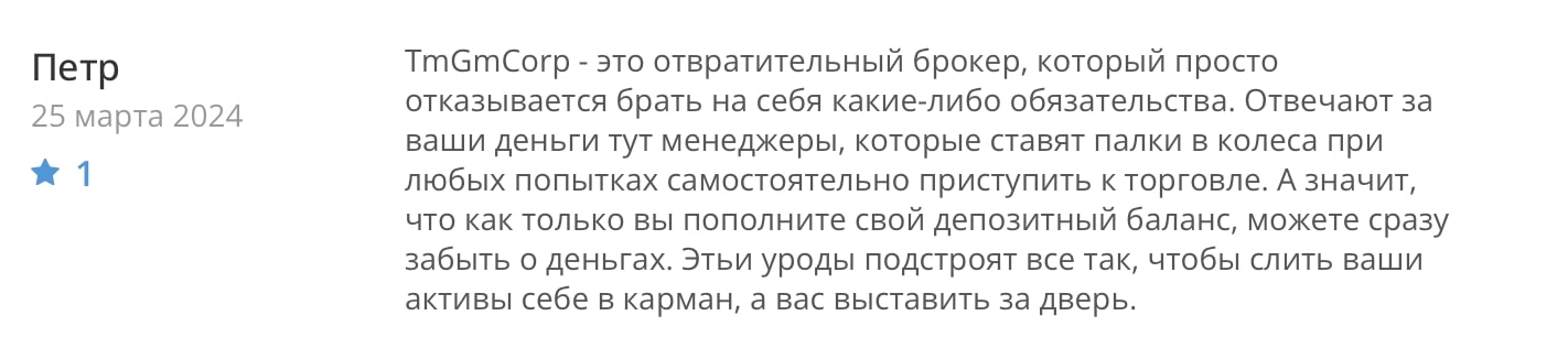 TmGmCorp: отзывы клиентов о работе компании в 2024 году