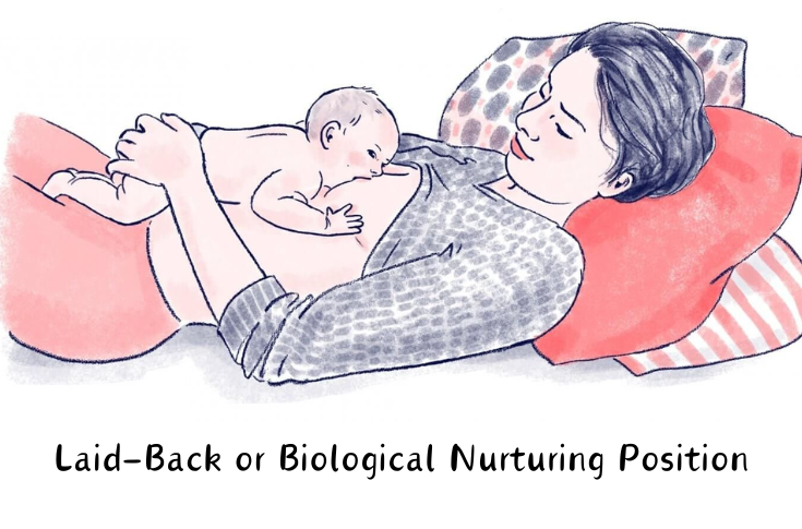 Laid-Back or Biological Nurturing Position