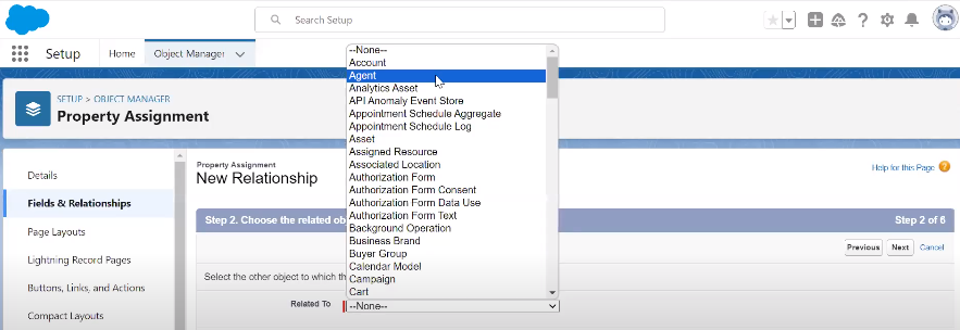 Step 6: Configure a Property Agent Custom Field on the Property Assignment Object  