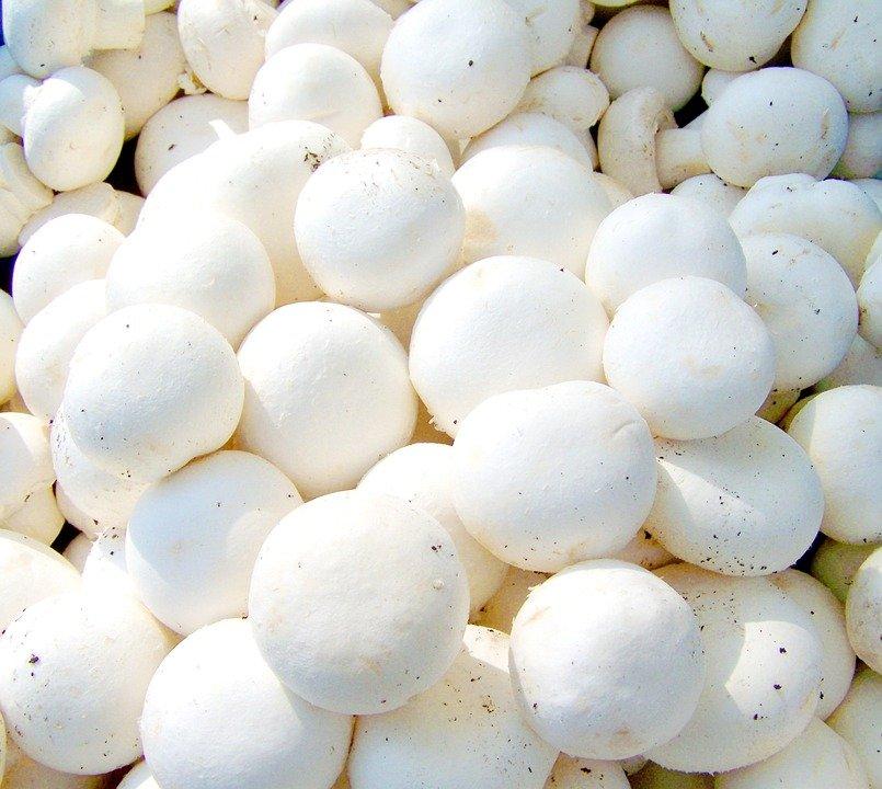 Button Mushroom, White Vegetable, Food