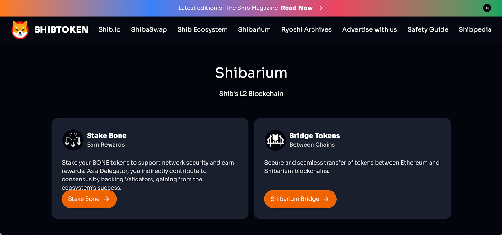 What is Shibarium