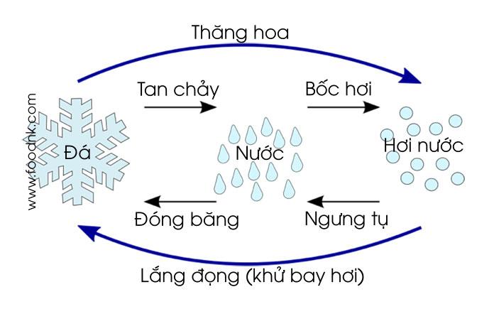 Diagram of a snowflake and snowflake with water and rain

Description automatically generated