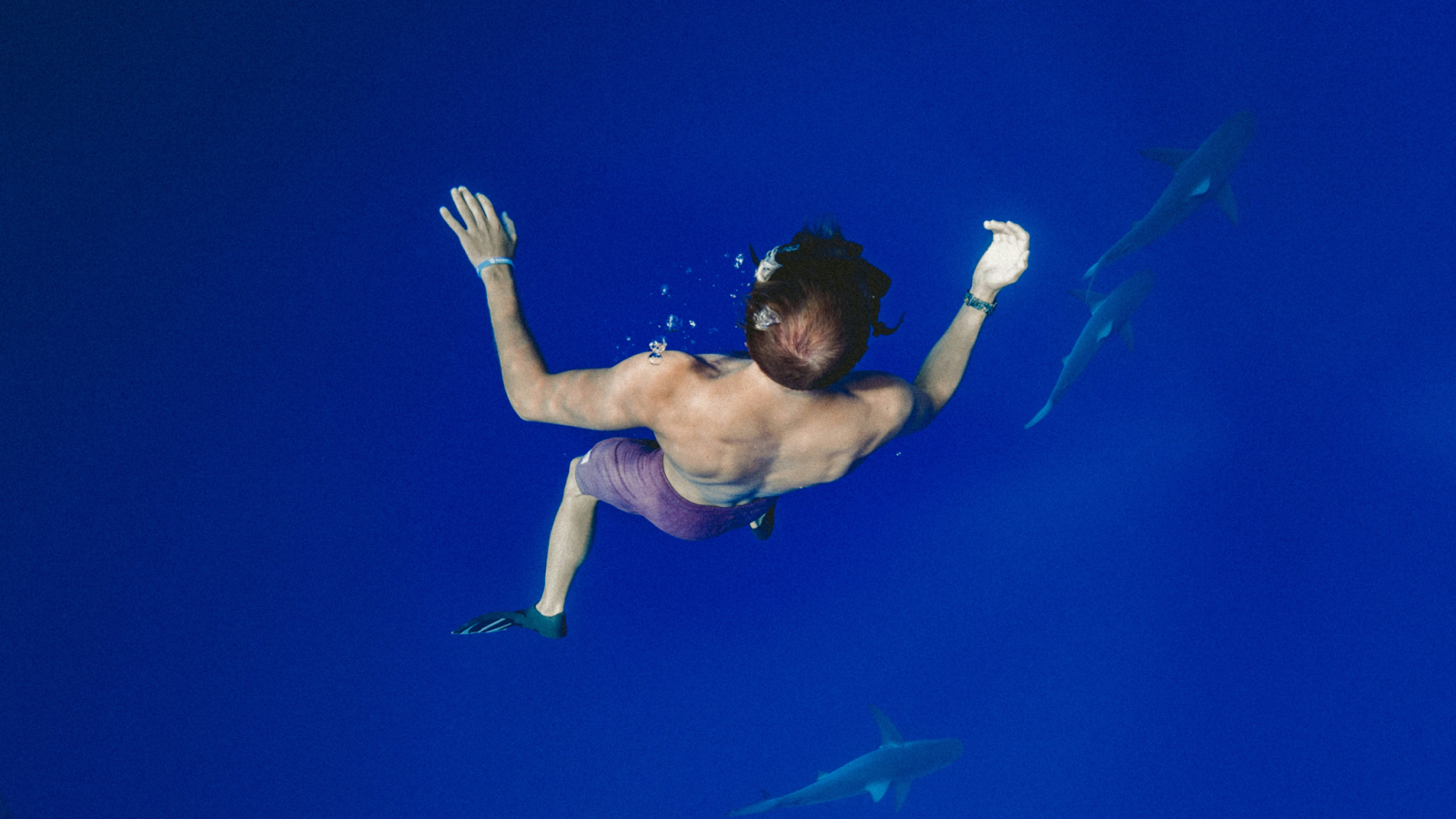 A guest enjoying a scuba diving excursion