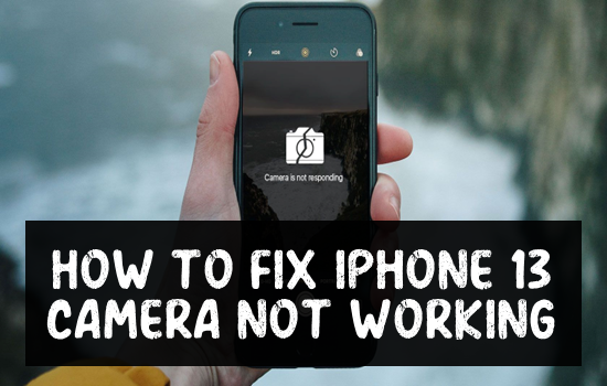 iphone 13 pro max camera not working