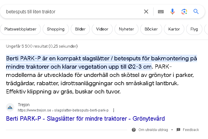 Utvalt utdrag på Google