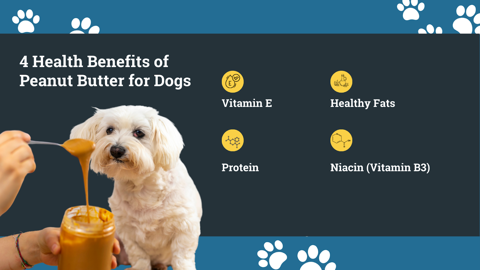 4 health benefits of peanut butter for dogs
