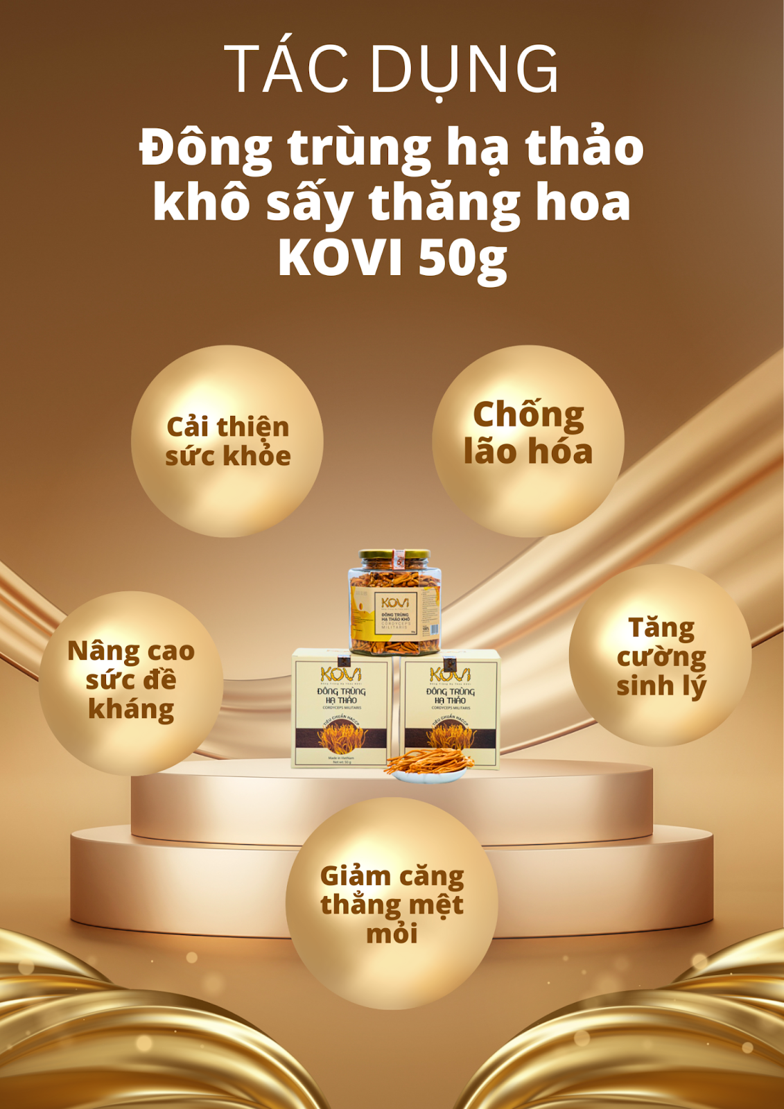 Đông trùng hạ thảo khô