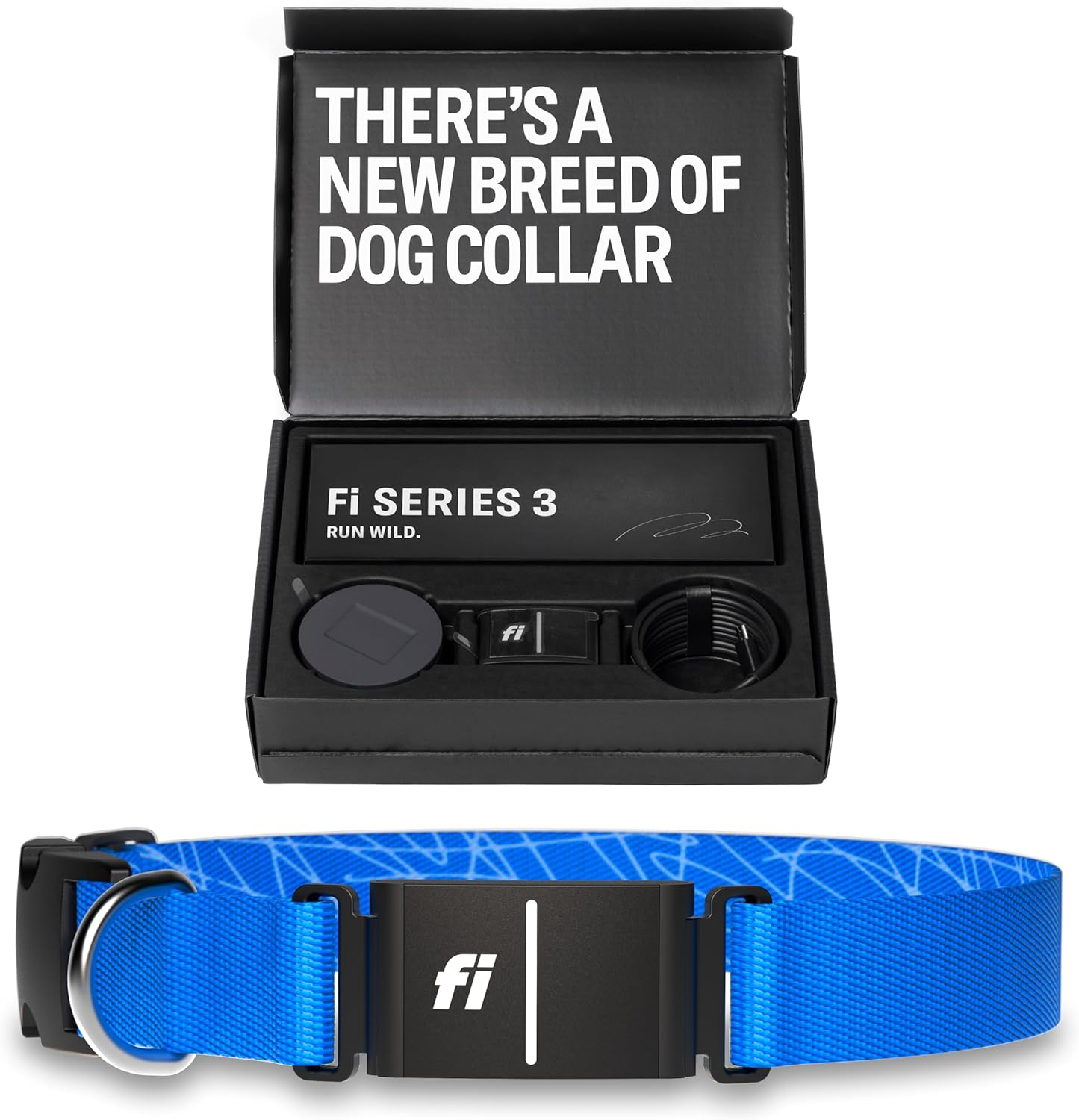 Dog Collars & Tags With Built-In Tracking Devices Better Than AirTag