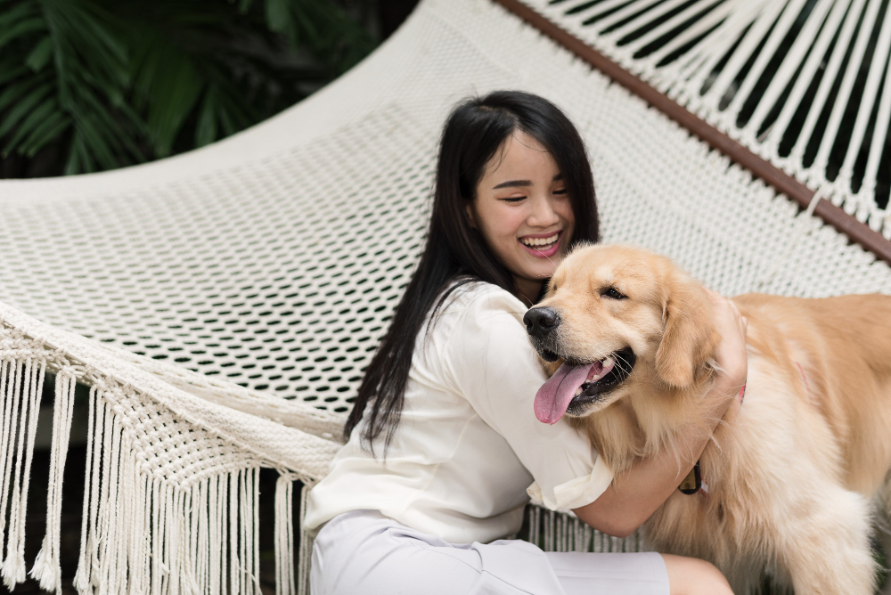 Cheerful Asian woman playing with happy Golden Retriever