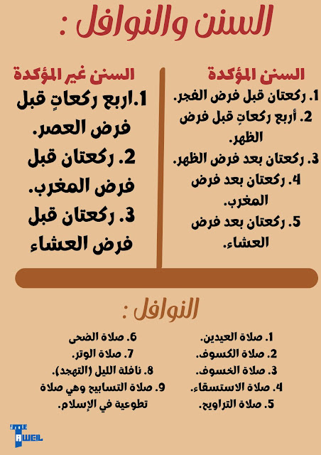 السنن والنوافل في الصلاة