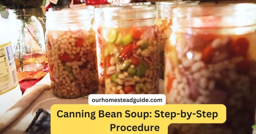 Canning Bean Soup