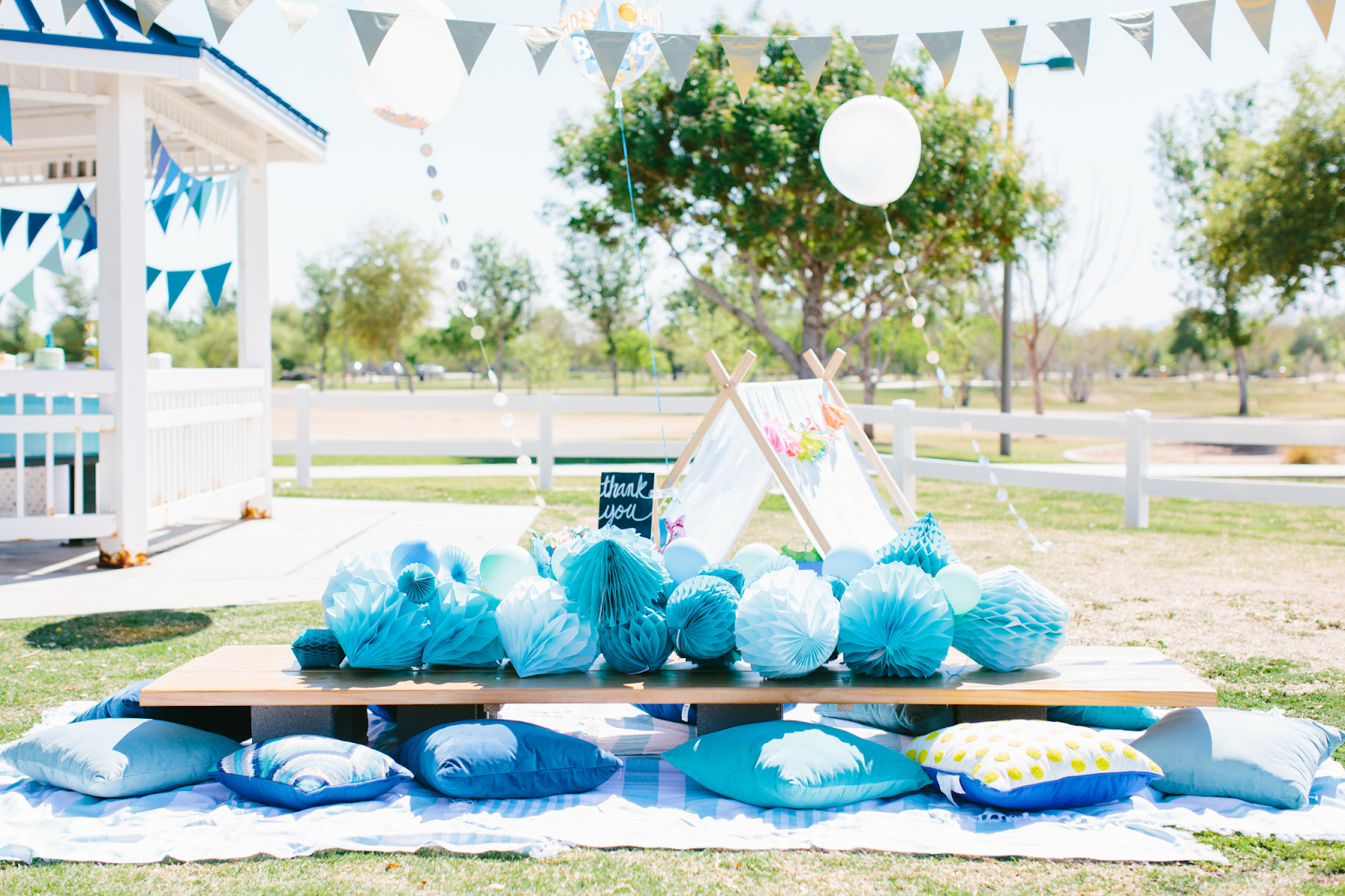 Ideas for A Picnic Birthday Party