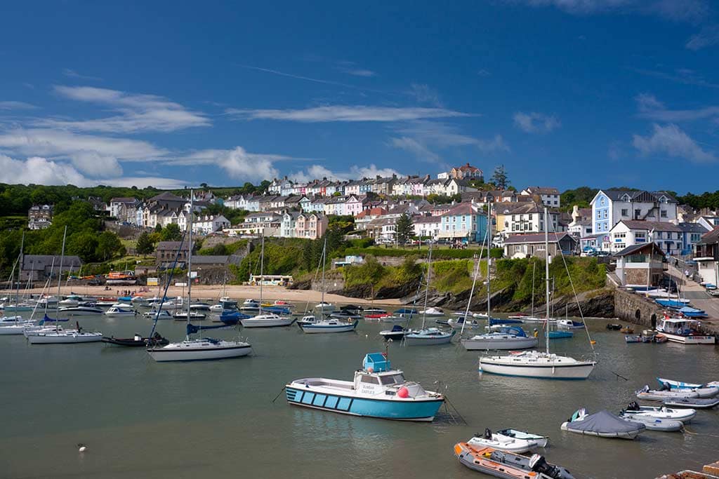 20 BEST Things To Do In New Quay Wales (2024)