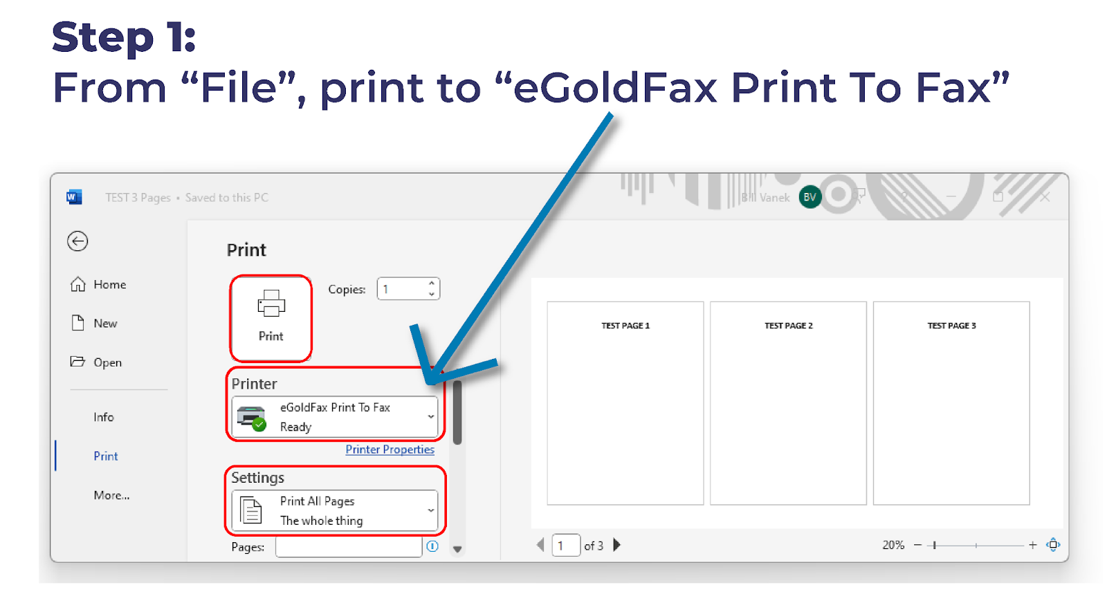 egoldfax instructions for print to fax