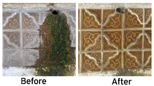 Before and after pool tile restoration