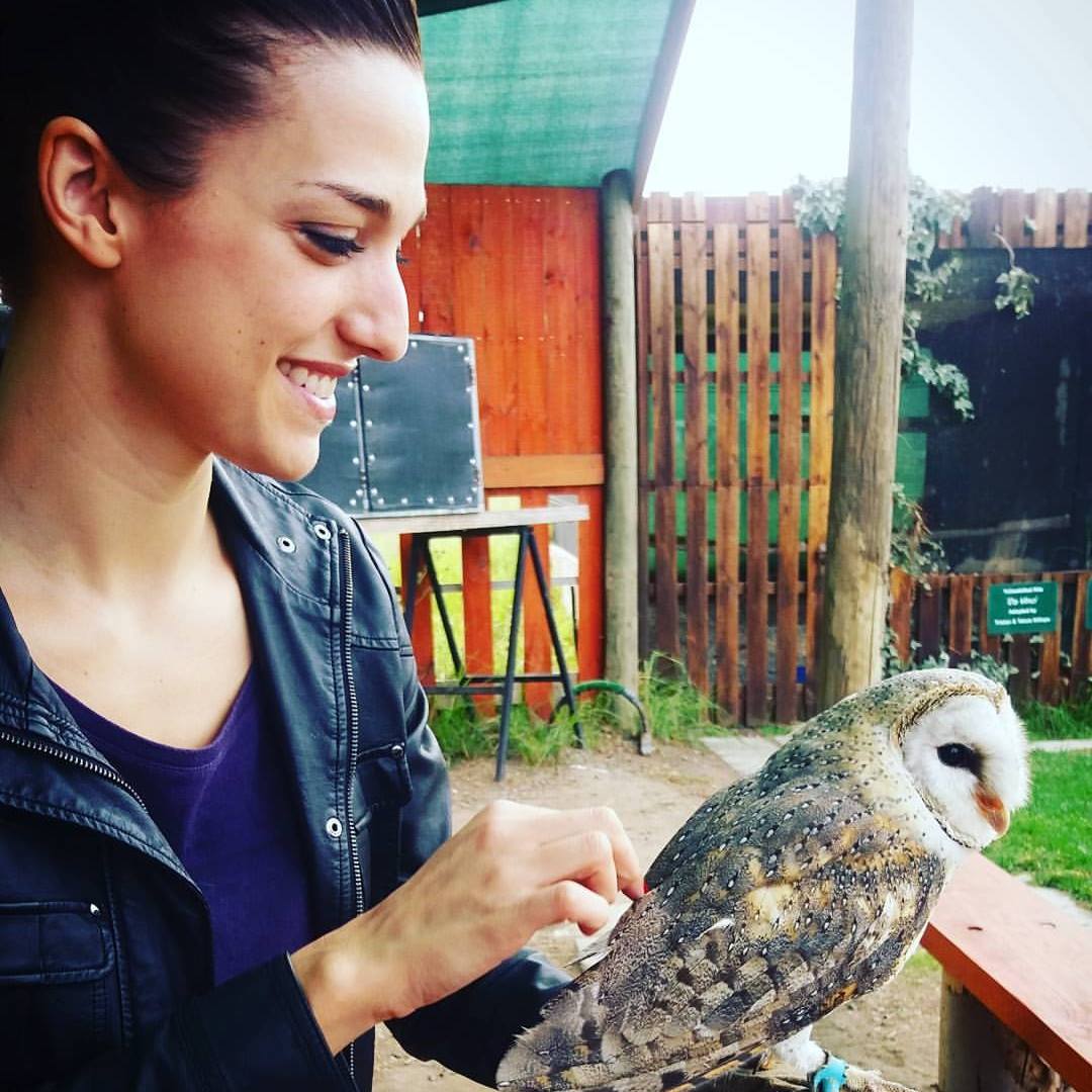 Thea Beckman hanging out with a Barn Owl